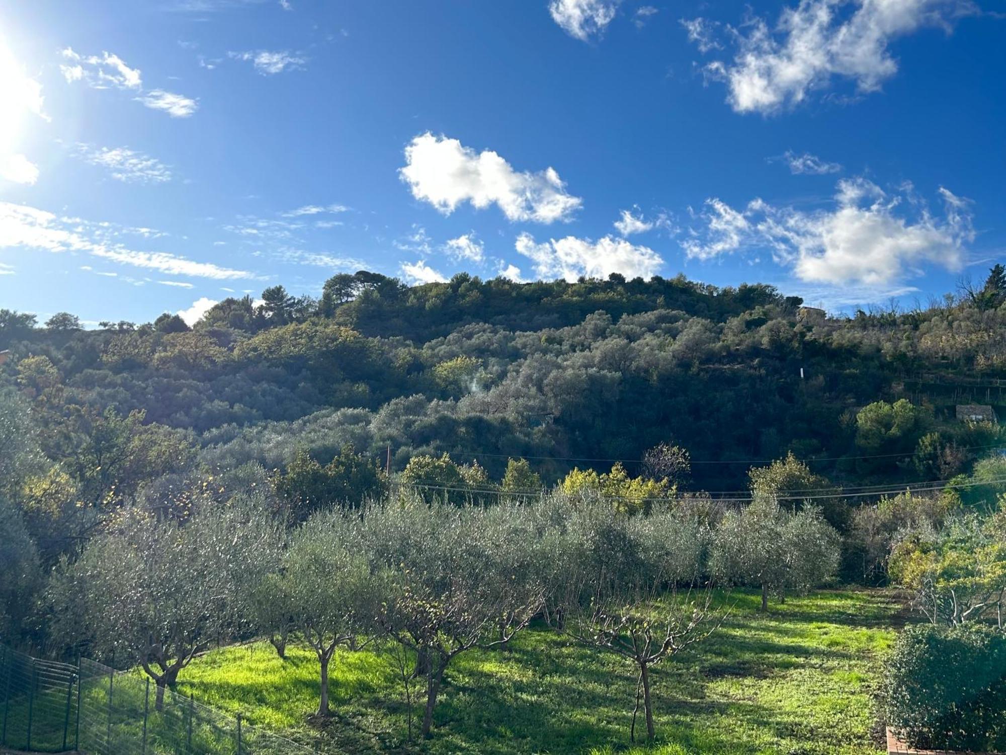 Ulivi - Comodita E Tranquillita Con Patio E Parcheggio إمبيريا المظهر الخارجي الصورة